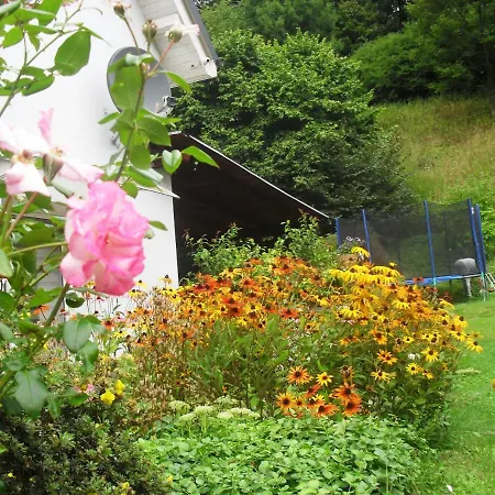 Aura * Lewin Klodzki