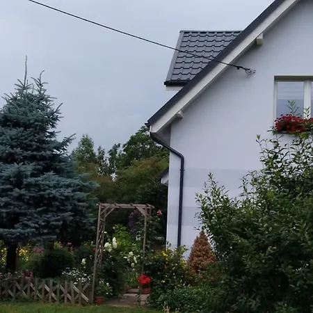 Aura * Lewin Klodzki