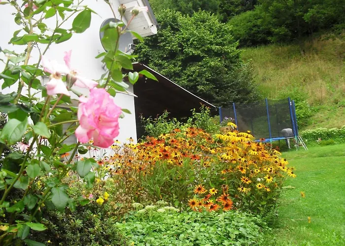 Aura * Lewin Klodzki