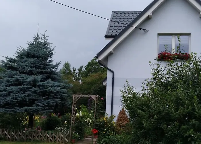 Aura * Lewin Klodzki